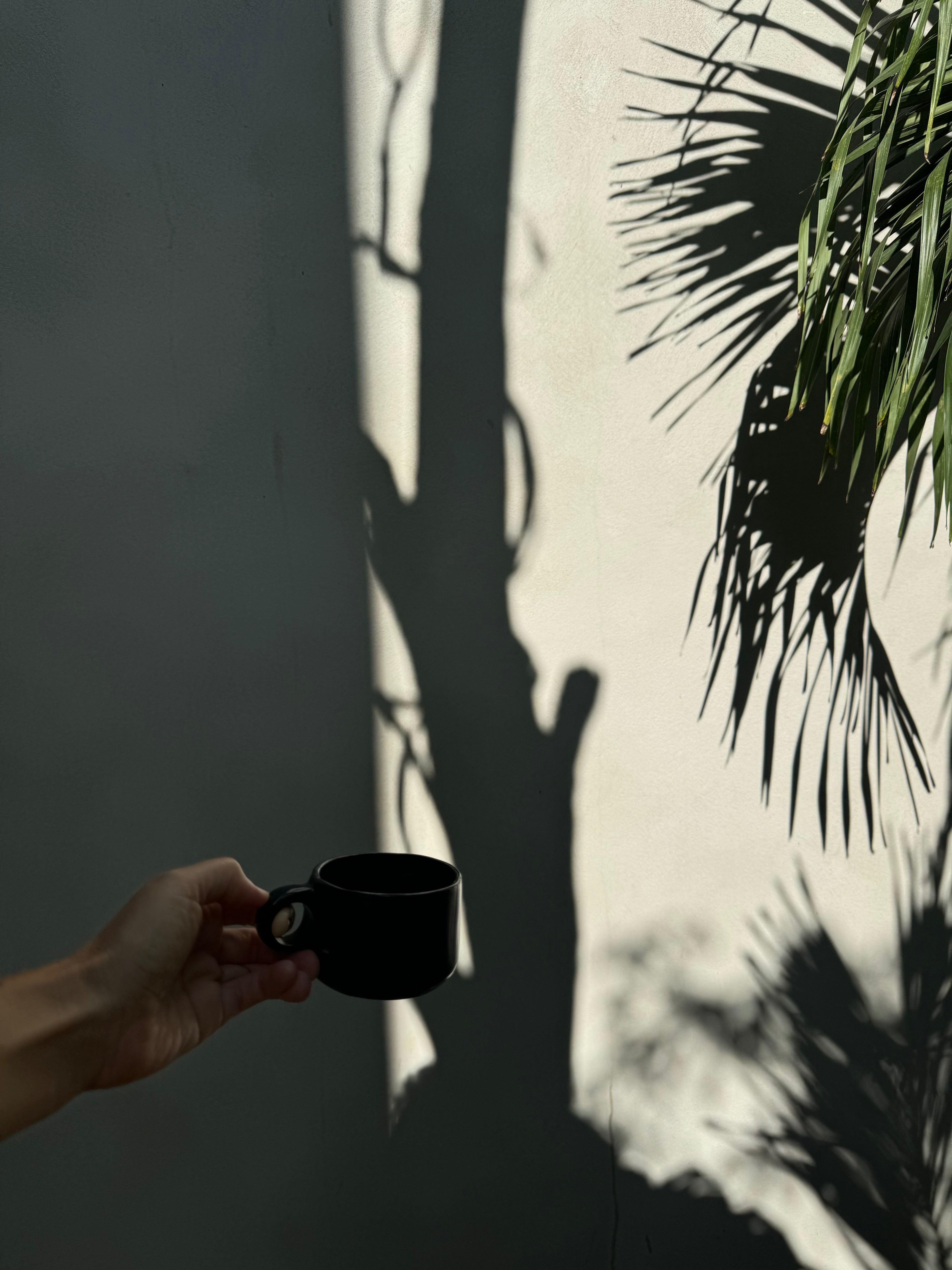 Subscription (Monthly)