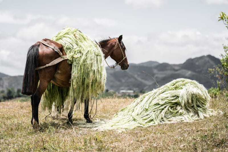 COLOMBIA JAIME NUNEZ