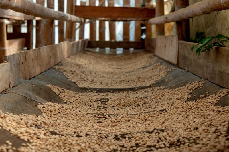 COLOMBIA JAIME NUNEZ