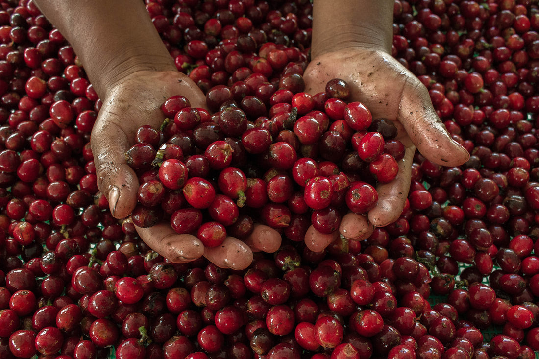 ECUADOR LA JOSEFINA